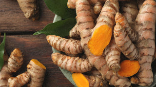 Longevity Curcuma Wurzel
